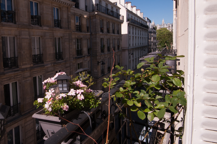 Property Gallery