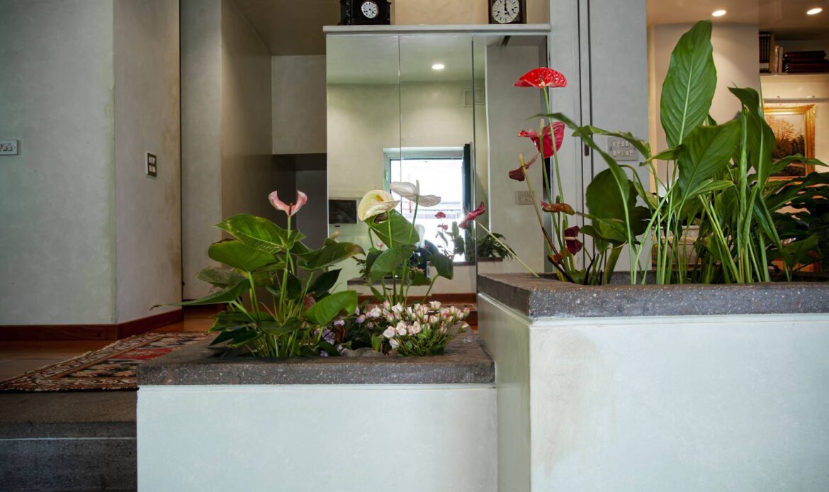 Property Gallery