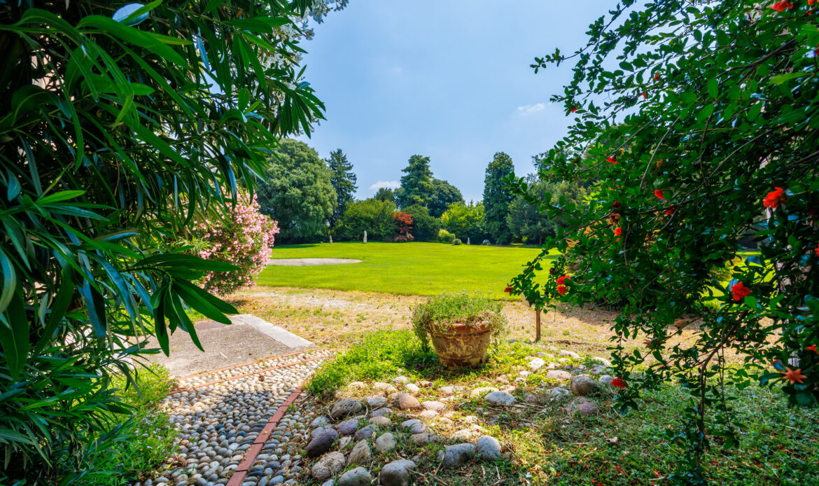 Property Gallery